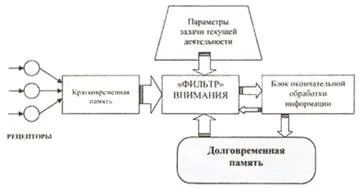 Дослідження уваги з точки зору когнітивної психології, увага як вибір одного об'єкта з (вибір) Дослідження уваги з точки зору когнітивної психології, увага як вибір одного об'єкта з