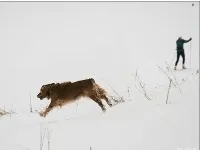 Як швидше відновити сили після лижної прогулянки або походу - гірськолижні бази і курорти (mdash) Як швидше відновити сили після лижної прогулянки або походу - гірськолижні бази і курорти