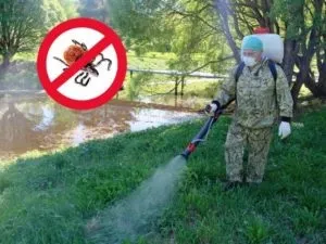 Як боротися з кліщами на дачній ділянці народні засоби і методи (народні засоби і методи) Як боротися з кліщами на дачній ділянці народні засоби і методи