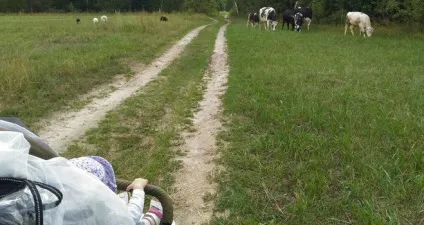 Як бути з поїздкою на дачу (дача) Як бути з поїздкою на дачу