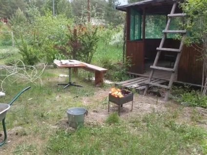 Як бути з поїздкою на дачу (не хочу) Як бути з поїздкою на дачу
