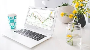 Як і ким регулюється ринок forex вУкаіни і в світі, equity