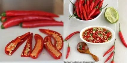 Як готувати страви тайської кухні секрети тайських кухарів (тайської) Як готувати страви тайської кухні секрети тайських кухарів