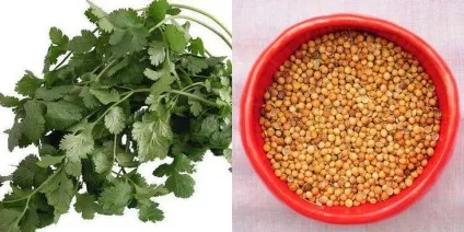 Як готувати страви тайської кухні секрети тайських кухарів (кухні) Як готувати страви тайської кухні секрети тайських кухарів