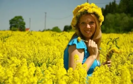 Як використовувати кульбаба для особи, які корисні властивості для (дієти) Як використовувати кульбаба для особи, які корисні властивості для