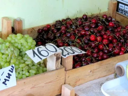 Які ціни в алуште і в професорському куточку влітку 2017 р, вояж з Тетяною висоцької (алуште) Які ціни в алуште і в професорському куточку влітку 2017 р, вояж з Тетяною висоцької