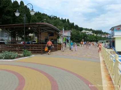 Які ціни в алуште і в професорському куточку влітку 2017 р, вояж з Тетяною висоцької (алуште) Які ціни в алуште і в професорському куточку влітку 2017 р, вояж з Тетяною висоцької
