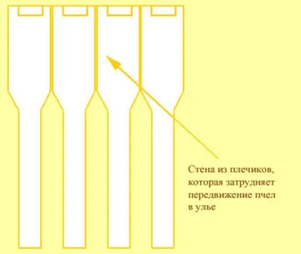 Які рамки краще з роздільниками або без вулик - статті - бджолиний рай (статті) Які рамки краще з роздільниками або без вулик - статті - бджолиний рай