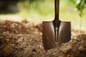 Як позбутися від слимаків в городі боротьба зі слимаками на городі народними засобами (слимаками) Як позбутися від слимаків в городі боротьба зі слимаками на городі народними засобами