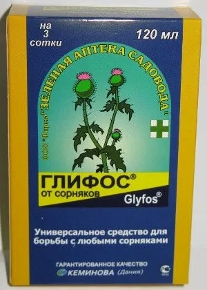 Як позбутися від трави на садових доріжках назавжди (город) Як позбутися від трави на садових доріжках назавжди