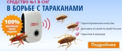 Як позбутися від прусаків в квартирі раз і назавжди, народні засоби в приватному будинку (квартирі) Як позбутися від прусаків в квартирі раз і назавжди, народні засоби в приватному будинку