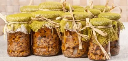 Як маринувати опеньки на зиму в домашніх умовах (умовах) Як маринувати опеньки на зиму в домашніх умовах