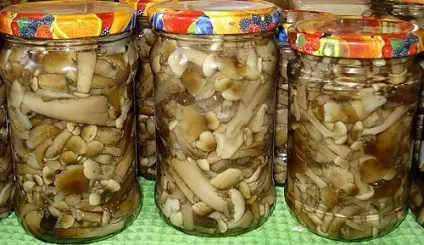 Як маринувати опеньки на зиму в домашніх умовах (рецепти приготування опеньків) Як маринувати опеньки на зиму в домашніх умовах