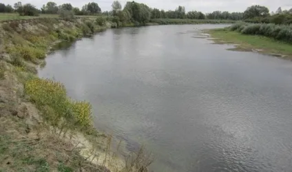 Як ловлять коропа на невеликій річці (коропа) Як ловлять коропа на невеликій річці