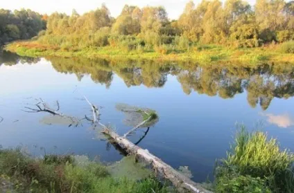 Як ловити коропа в річці вибір правильного місця зі снастями (коропа) Як ловити коропа в річці вибір правильного місця зі снастями