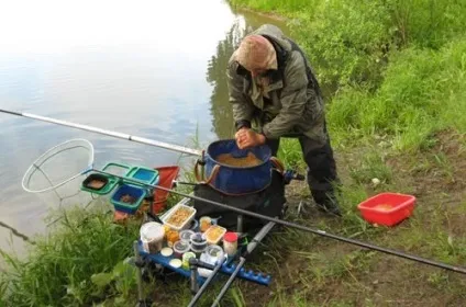 Як ловити коропа в річці вибір правильного місця зі снастями (коропа) Як ловити коропа в річці вибір правильного місця зі снастями