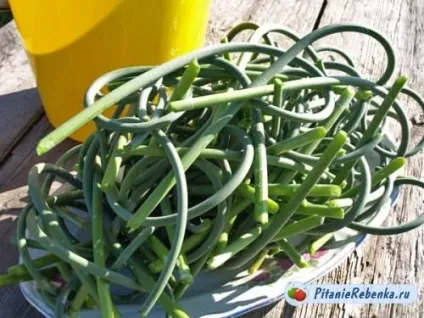 Як маринувати стрілки часнику