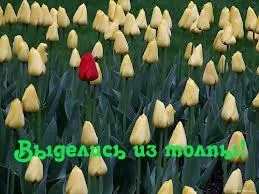 Як набрати перших передплатників в базу, 7 рад (базу) Як набрати перших передплатників в базу, 7 рад