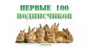 Як набрати перших передплатників в базу, 7 рад (перші передплатники) Як набрати перших передплатників в базу, 7 рад