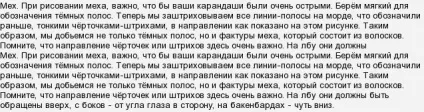 Як намалювати амурського тигра олівцем поетапно (олівець) Як намалювати амурського тигра олівцем поетапно