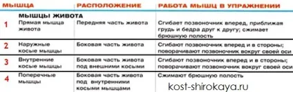 Як накачати прес, кубики, жир, як накачати прес в домашніх умовах, кістка широка (прес) Як накачати прес, кубики, жир, як накачати прес в домашніх умовах, кістка широка