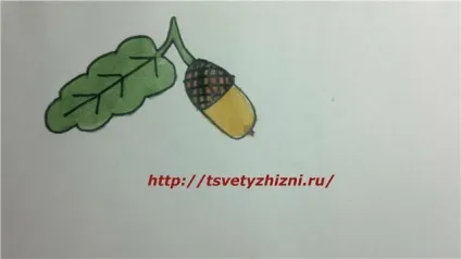Як намалювати листя, квіти життя (листя) Як намалювати листя, квіти життя