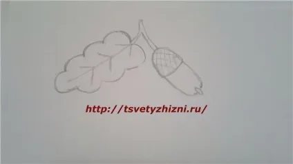 Як намалювати листя, квіти життя (осіннє листя) Як намалювати листя, квіти життя