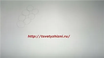 Як намалювати листя, квіти життя (вірші про дуб і клен) Як намалювати листя, квіти життя
