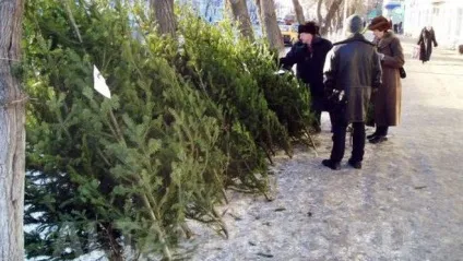 Як налагодити продаж ялинок під новий рік (ялинки) Як налагодити продаж ялинок під новий рік