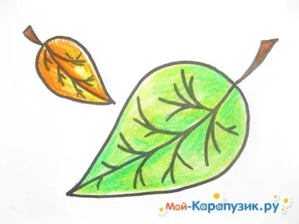 Як намалювати листя поетапно олівцем (олівцем) Як намалювати листя поетапно олівцем