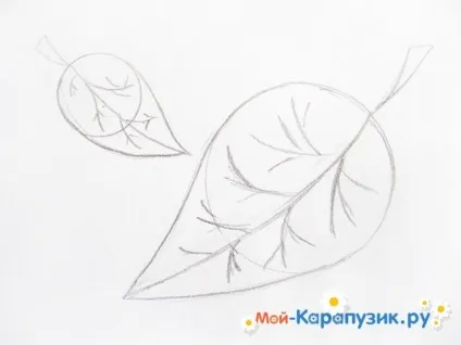 Як намалювати листя поетапно олівцем (листя) Як намалювати листя поетапно олівцем