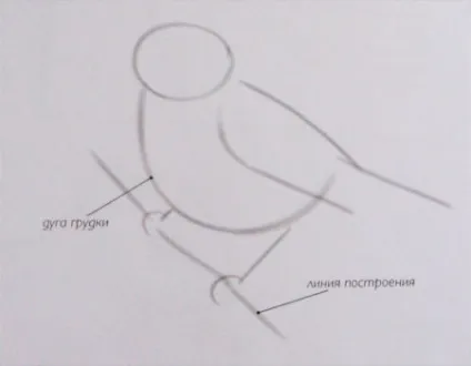 Як намалювати птаха на гілці поетапно (малюнок) Як намалювати птаха на гілці поетапно