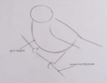 Як намалювати пташку