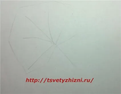 Як намалювати листя, квіти життя (як намалювати) Як намалювати листя, квіти життя