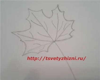 Як намалювати листя, квіти життя (як намалювати лист клена) Як намалювати листя, квіти життя