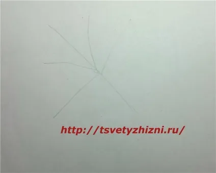 Як намалювати листя, квіти життя (осіннє листя) Як намалювати листя, квіти життя