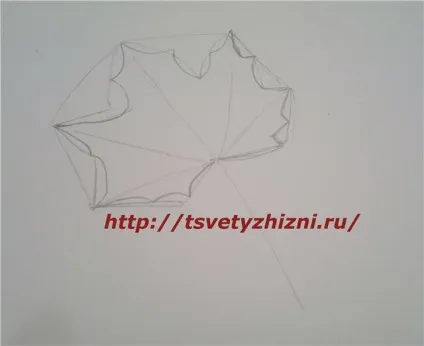 Як намалювати листя, квіти життя (намалювати) Як намалювати листя, квіти життя