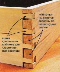 Як не зіпсувати «ластівчин хвіст»