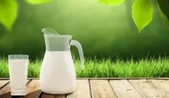 Як називається найбільший штат Індії