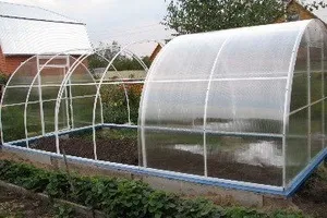 Як знезаразити землю в теплиці домашні хитрощі (можна проводити інші) Як знезаразити землю в теплиці домашні хитрощі