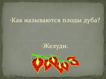 Як називаються плоди дуба - презентація 22668-10 (світ) Як називаються плоди дуба - презентація 22668-10