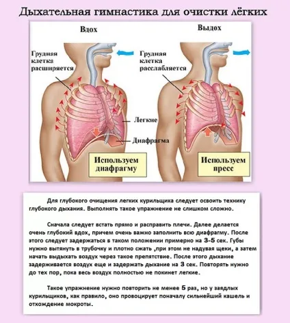 Як очистити легені курця в домашніх умовах здорової людини, почистити, очищення, (домашніх) Як очистити легені курця в домашніх умовах здорової людини, почистити, очищення,