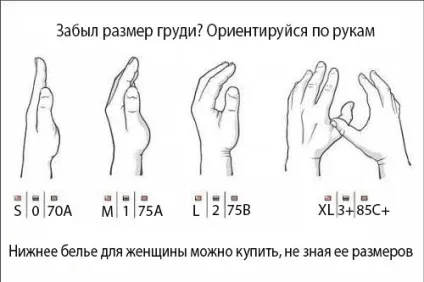 Як визначити розмір грудей 1 2 3 4 приклади з фото (фото) Як визначити розмір грудей 1 2 3 4 приклади з фото