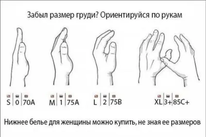 Як визначити розмір грудей 1 2 3 4 приклади з фото (грудей) Як визначити розмір грудей 1 2 3 4 приклади з фото