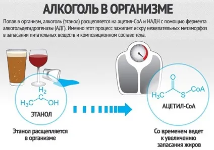 Який алкоголь можна пити при схудненні (схудненні) Який алкоголь можна пити при схудненні