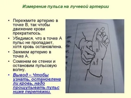Який повинен бути пульс у здорової людини (який) Який повинен бути пульс у здорової людини