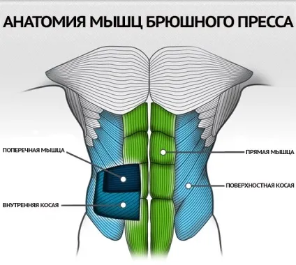 Який домашній тренажер для преса вибрати (домашній тренажер прес) Який домашній тренажер для преса вибрати