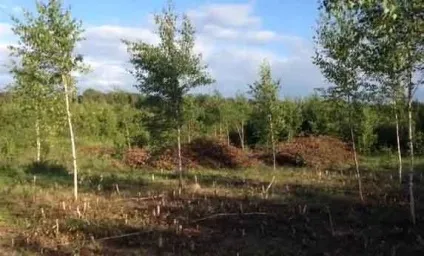 Як підготувати заміський ділянку до будівельних робіт на ньому