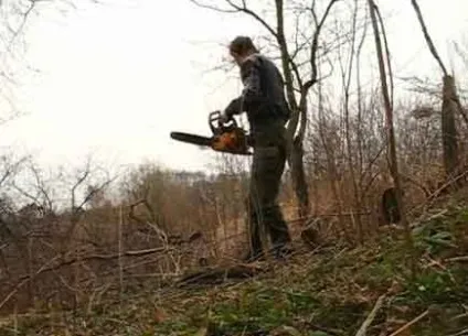 Як підготувати заміський ділянку до будівельних робіт на ньому
