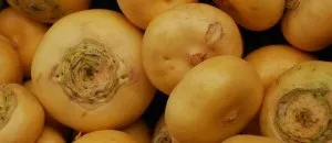 Як корисний інжир інжир як вибрати - як вживати інжир, як приготувати інжир і як зберігати (корисний) Як корисний інжир інжир як вибрати - як вживати інжир, як приготувати інжир і як зберігати
